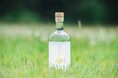 【新商品】日本の夏を愉しむジン。季節限定シリーズ第四作「naturadistill 甘夏薄荷蒸溜酒」が8/5(水)に数量限定発売！