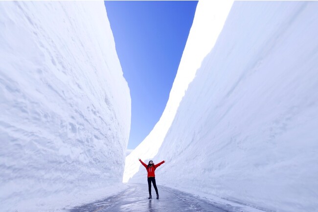 雪の大谷ウォーク 雪の大谷ウォーク