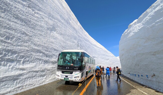雪の大谷ウォーク 雪の大谷ウォーク