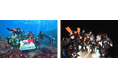 一年の締めくくりと新年の始まりを、伊豆大島の海で!パパラギダイビングスクールが贈る2泊3日の「年越しダイブ!水中カウントダウンツアー」開催