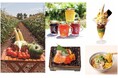 【あべのハルカス近鉄本店】大阪市内最速開催！北海道産の食材で作る本気の海苔弁当やとうもろこしパフェなど、旬のグルメが大集結！「大北海道展」 9月9日(水)～23日（水・祝)