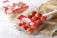 近鉄百貨店が育てる大阪いちご「はるかすまいる」の販売がスタート