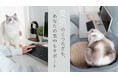 在宅ワークがもっと快適に!猫好きのための新発明『デスク取り付け型キャットタワー』新登場