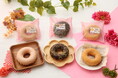 また食べたくなるしっとり感！セブン‐イレブン「もちもち食感どーなつ」3商品が9月21日（月）より全国で順次発売！