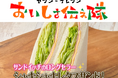 オリジナル商品のこだわり紹介ムービー「セブン‐イレブンおいしさ伝え隊」シャキシャキ食感がたまらない!「シャキシャキレタスサンド」のおいしさのヒミツを公開中