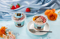 「白くま」と「ゴディバ」のコラボアイスが新登場！「白くまの贅沢チョコレート」を全国のセブン‐イレブンにて数量限定で発売！