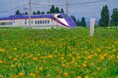 8月8日(金)予約分から適用開始!米沢市独自の緊急観光支援キャンペーン「じゃらん地域クーポン」を発行します!
