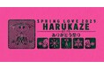 桜満開!!『SPRING LOVE 春⾵ 2025』3月29日(土)・30日(日) 開催 in 代々木公園イベント広場