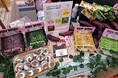 ~日本のさつまいもを世界のスーパーヒーローに~ 新発想の干し芋バー「BENI BITES」をリリースしたmorning boost社が『さつまいもの輸出を促進するコンソーシアム』に参加!