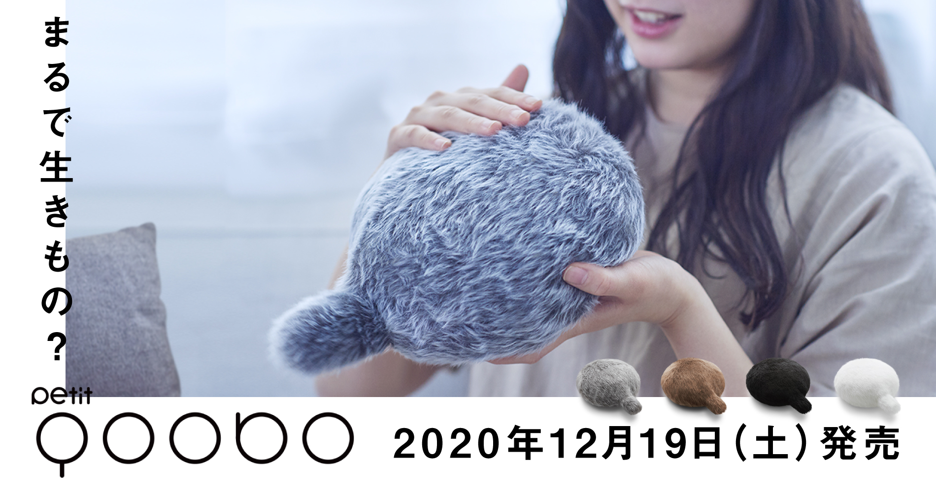 小さなしっぽロボット「Petit Qoobo」、2020年12月19日(土)新発売