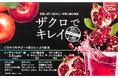【日本薬健】女性に嬉しい成分が摂れる粉末ビネガードリンク「ザクロでキレイ 飲むお酢 ザクロ&アップル」が新登場!