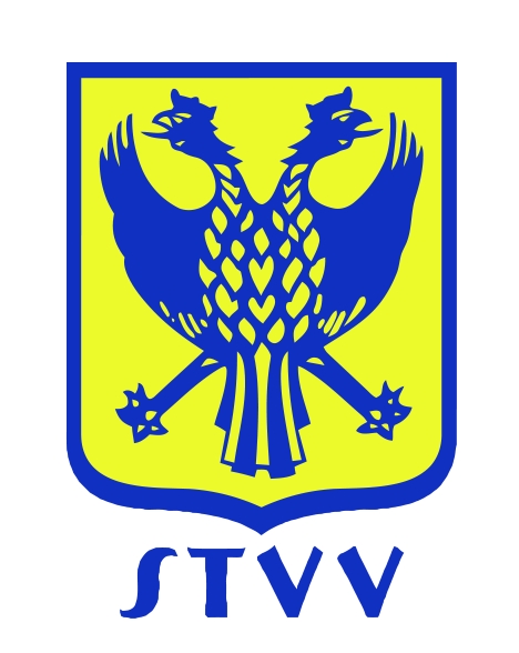 DMMが保有するサッカーベルギー1部リーグSTVVとオフィシャルスポンサー契約を締結　～ 「STVV×faniconファンコミュニティ共同プロジェクト」を発足 ～
