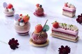 シェラトン・グランデ・トーキョーベイ・ホテル 「いちご×チョコレート スイーツ&ベーカリー」