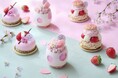 シェラトン・グランデ・トーキョーベイ・ホテル 「いちご×桜 スイーツ&ベーカリー」