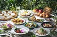 シェラトン・グランデ・トーキョーベイ・ホテル 食べて、聴いて、触れて、ハワイを感じる夏へ ハワイアンフェア「ALOHA! シェラトン」を開催