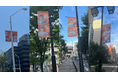 【オイシックス新潟】新潟市中心部に過去最大級110枚の選手フラッグを掲出 「にいがた2km」推し活歓迎プロジェクトと連携