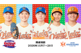 【オイシックス新潟アルビレックスBC】第23回みやざきフェニックス・リーグ 帯同メンバーのお知らせ