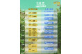 OKINAWA FES Milafete「MATSURI STAGE」「CHURA STAGE」タイムテーブル解禁!!
