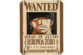 “手配書”がそのまま立体アートに!TVアニメ『ONE PIECE』のペーパーシアター新登場 「ペーパーシアター ONE PIECE 全13種」発売日決定!