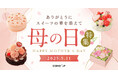 Cake.jp、母の日特集を本日より公開!人気ブランドの限定ギフトや、カーネーションをモチーフにした美しいスイーツなど全1,800種をラインナップ