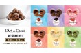 Cake.jpオリジナル・プレミアムチョコレートブランド「L’Art du Cacao(ラール・デュ・カカオ)」誕生