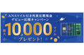 「ANAマイル付き外貨定期預金デビュー応援キャンペーン　最大10,000マイルプレゼント！」実施のお知らせ