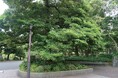 日比谷公園におけるSynecoculture™導入のお知らせ