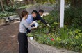 日比谷公園でのSynecocultureTM 春の植栽実施のお知らせ