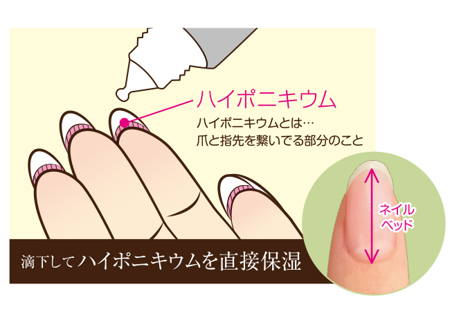 新提案 ネイルベッドケアで スラリと見える美しい指先に Nail アンドネイルから新製品 ネイルベッドオイル が発売 石澤研究所のプレスリリース