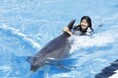 【南知多ビーチランド】昨年大反響の“イルカと夢の水中遊泳”が今年も実現！「イルカと泳ごう！」を開催日数を拡大して開催＜愛知＞
