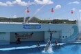 ココロに刺激！ビビビ！！！ビーチランド！至近距離のふれあいで涼む、夏限定イベントを多数開催＜愛知＞
