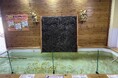 【南知多ビーチランド】物価高を吹き飛ばせ！！『お金(かね)鯉(コイ)！にエサやり体験』スタート＜愛知＞