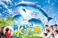 【南知多ビーチランド】夏限定!「水涼の祭」イルカショーで日本の祭りを体験!2025年7月5日(土)~8月31日(日)まで毎日開催<愛知>