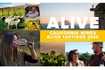 【イベント】2025年3月6日(木)「カリフォルニアワインALIVEテイスティング2025」ヒルトン大阪で一般消費者が参加できる夜の部を開催