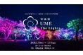 【水戸・偕楽園】ライトアップイベント「偕楽園 UME The Lights 2026」開催！！