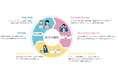 「持続可能な成長を、すべての企業に。」Growth NexusがSalesforceの導入をシンプルにし、活用段階に合わせた支援でDXを加速!