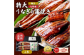 レンジでチン！するだけの超贅沢料理。大阪市中央卸売市場発、「ざこばの朝市オンラインショップ」の国産・特大うなぎを「父の日」のギフトに！　今なら早割価格＆オリジナルラッピング無料でお届け中