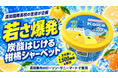 若さ爆発「炭酸はじける柑橘シャーベット」高知国際高校生が企画、高知家のうまいもの大賞2026最優秀賞の高知アイスが商品化、県副知事に報告。文化祭で1,500個を販売。県内ローソン・サニーマートで発売