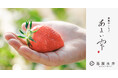 [群馬地域創生]最高糖度22.3のいちごブランド「苺屋永井 あまい雫」誕生
