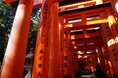 伏見稲荷大社へ2本目となる社名入り鳥居を奉納　〜 桑原組として続く感謝と決意 〜