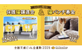 【2月22日は猫の日】イエローハットが猫を交通事故から守る「全国交通にゃん全運動 」キャンペーンを実施!今年は保護猫約100匹を集めた譲渡会「イエローキャット」を2月20日から3日間限定でOPEN