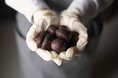 2025年3月10日 和栗白露、銀座シックスに新店舗オープン決定 本物を知るすべての人に捧げる「能登栗」の真髄