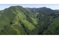 新出光不動産、熊本県八代市の社有林でJ-クレジット創出