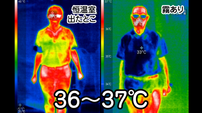 その後、ミストファンで冷房すると体表面温度は一気に37℃まで低下しました