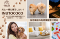 犬と泊まれる宿の“集客の悩み”をinutococoが解決