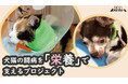 犬と猫の命をつなぐ流動食「チアフル」、クラウドファンディングにて資金調達開始