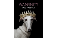 上質なドッグマッサージを提供するWanfinity、飼い主様向けドッグマッサージレッスンを開催