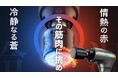*新製品発表:日本初上陸!BobandBrad社製 筋膜リリースマッサージガン「A2-PRO」日本上陸 **