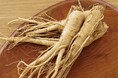 植物工場での高麗人参を行う株式会社YD-Plants、株式投資型クラウドファンディングを実施します