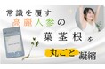 100%国産高麗人参の葉、茎、根を丸ごと使用し、高麗人参の栄養素を凝縮したサプリメント「SOWAKAPURE」を販売開始！